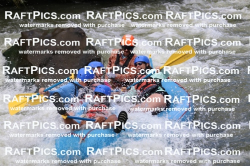 000361_July-9_New-Wave_RAFT-Pics_Racecourse-PM_BS_Ben