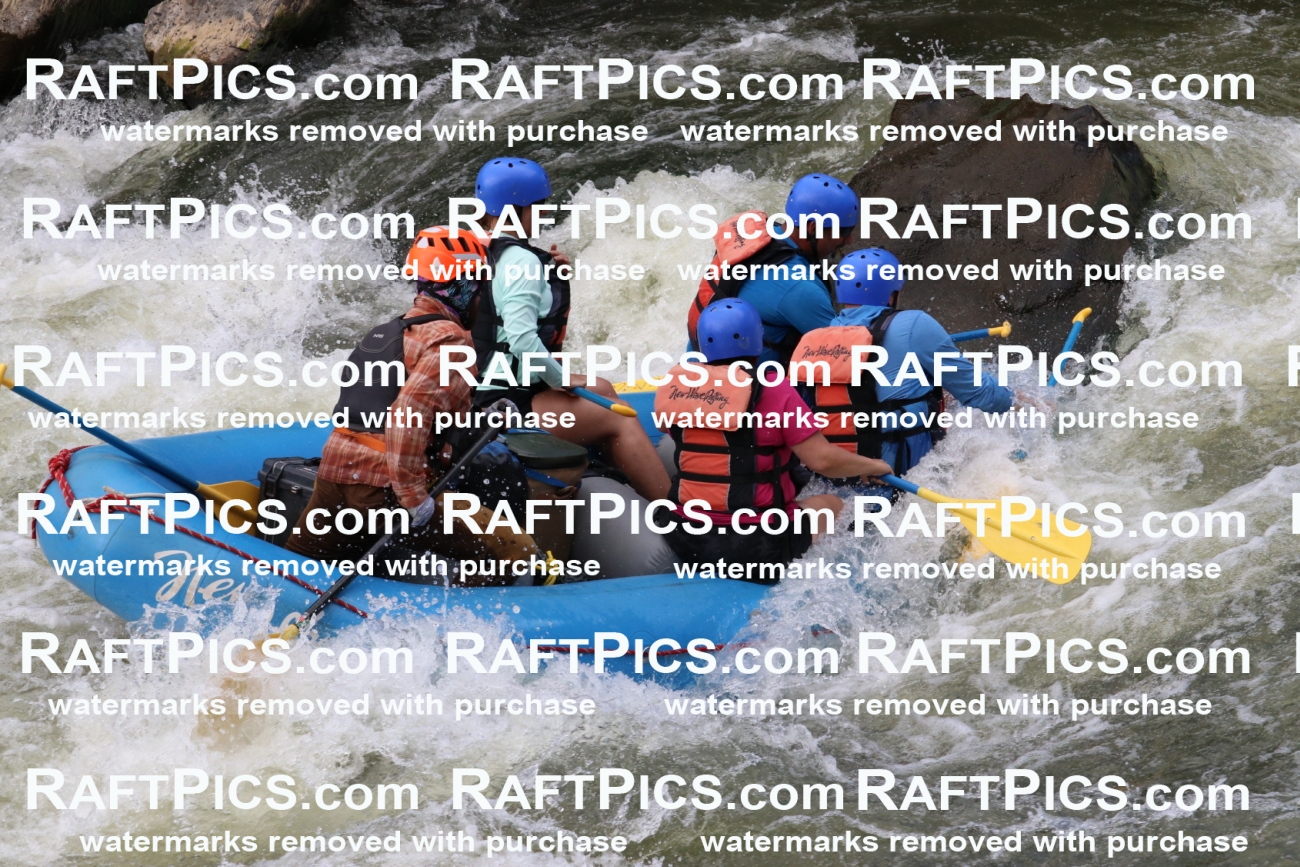 000364_July-9_New-Wave_RAFT-Pics_Racecourse-PM_BS_Ben