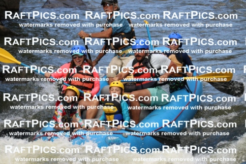 000367_July-9_New-Wave_RAFT-Pics_Racecourse-PM_BS_Britt