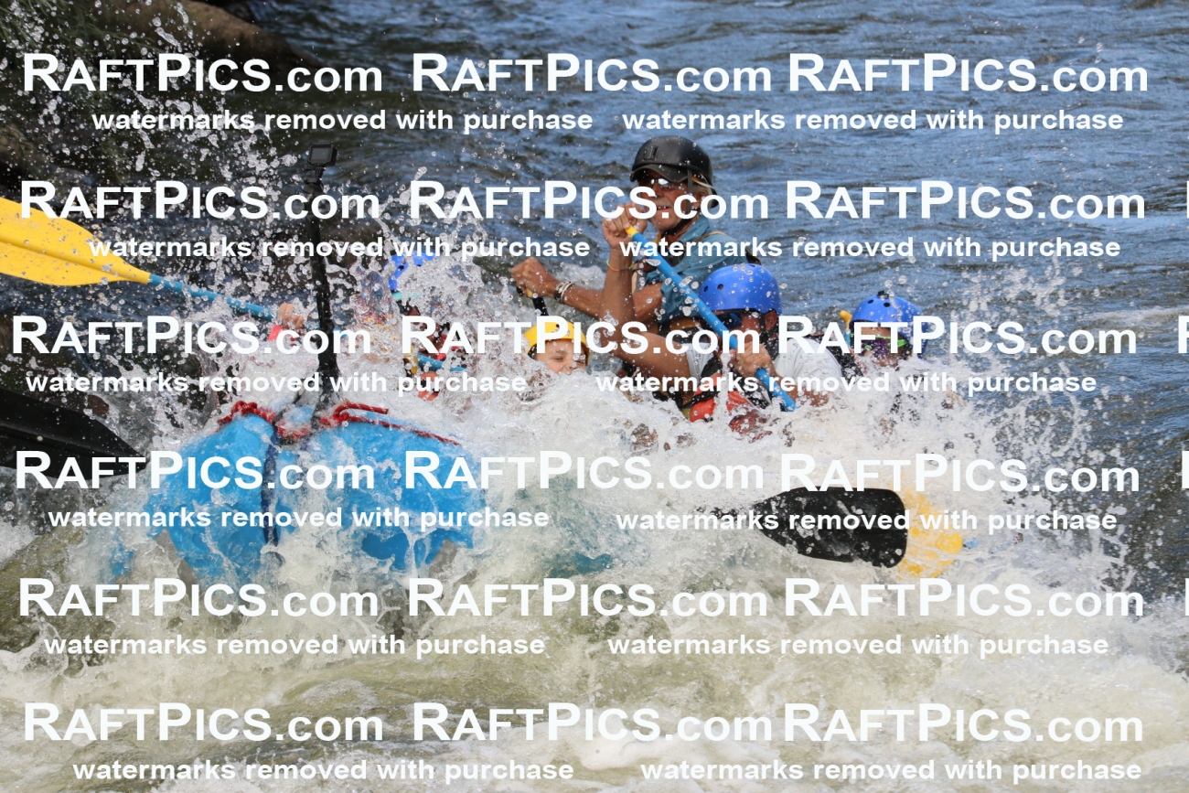 000369_July-9_New-Wave_RAFT-Pics_Racecourse-PM_BS_Britt