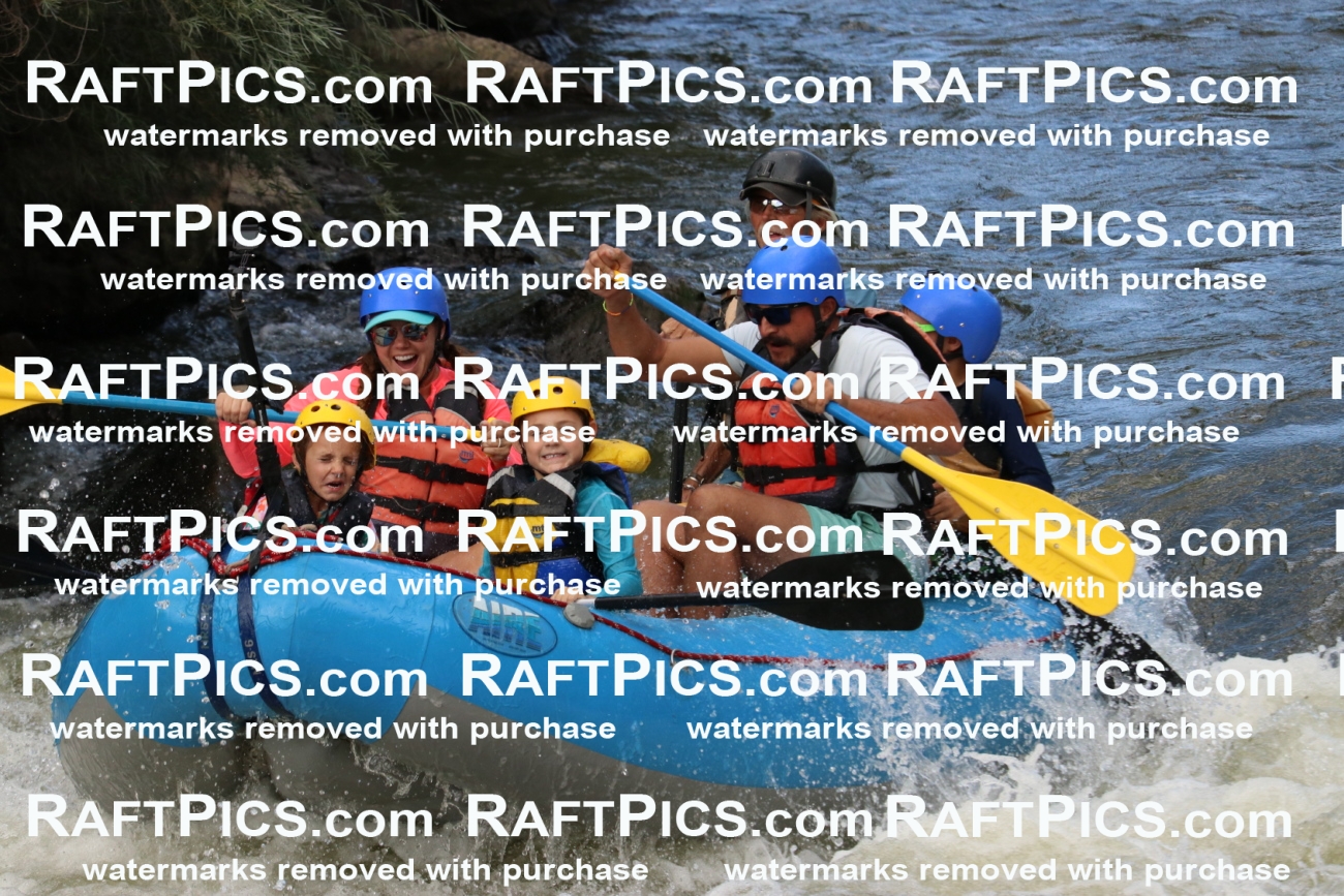 000372_July-9_New-Wave_RAFT-Pics_Racecourse-PM_BS_Britt