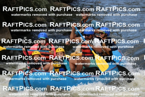 000373_July-9_New-Wave_RAFT-Pics_Racecourse-PM_BS_Britt