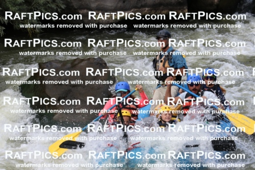 000378_July-9_New-Wave_RAFT-Pics_Racecourse-PM_BS_Britt-1