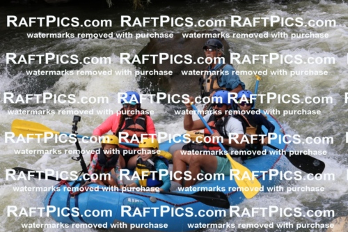 000381_July-9_New-Wave_RAFT-Pics_Racecourse-PM_BS_Britt