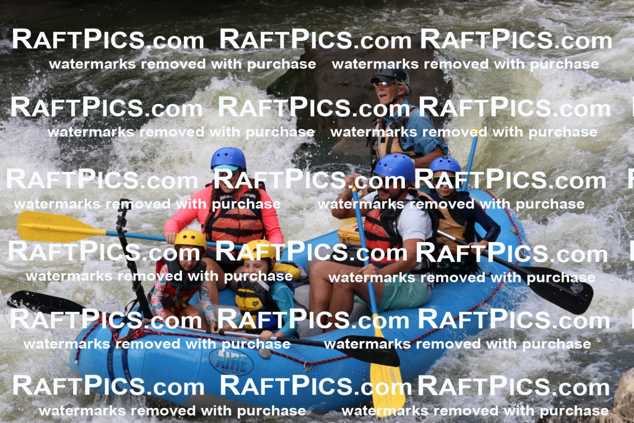 000382_July-9_New-Wave_RAFT-Pics_Racecourse-PM_BS_Britt