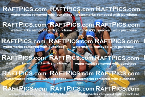 000388_July-9_New-Wave_RAFT-Pics_Racecourse-PM_BS_Elias