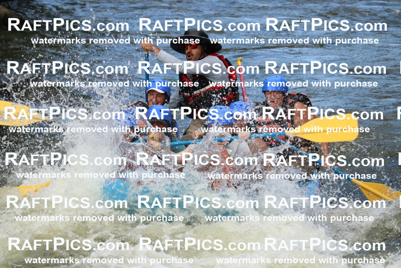 000390_July-9_New-Wave_RAFT-Pics_Racecourse-PM_BS_Elias