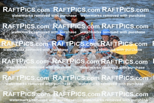 000390_July-9_New-Wave_RAFT-Pics_Racecourse-PM_BS_Elias