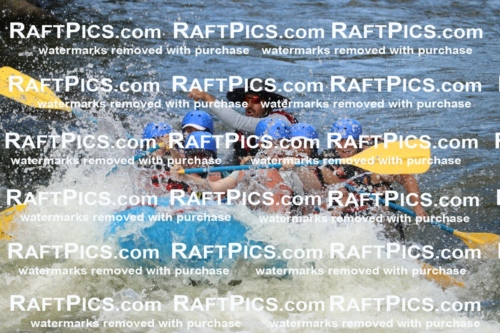 000391_July-9_New-Wave_RAFT-Pics_Racecourse-PM_BS_Elias