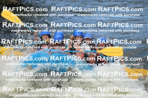 000392_July-9_New-Wave_RAFT-Pics_Racecourse-PM_BS_Elias