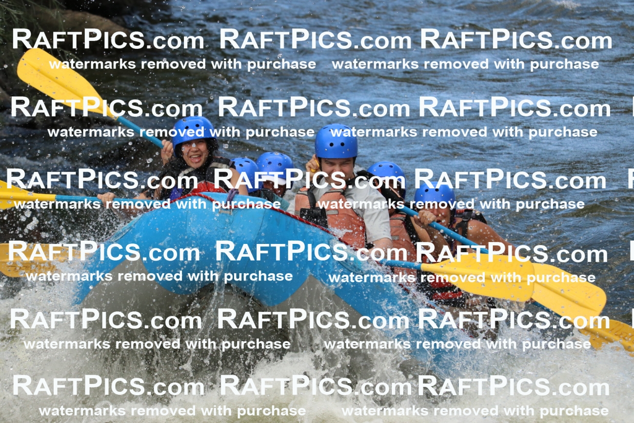 000393_July-9_New-Wave_RAFT-Pics_Racecourse-PM_BS_Elias