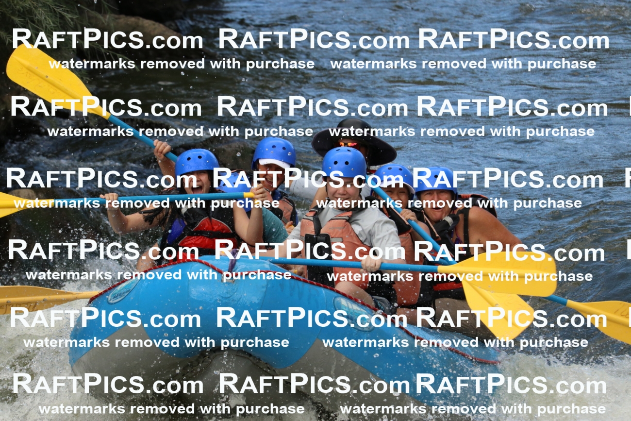 000394_July-9_New-Wave_RAFT-Pics_Racecourse-PM_BS_Elias