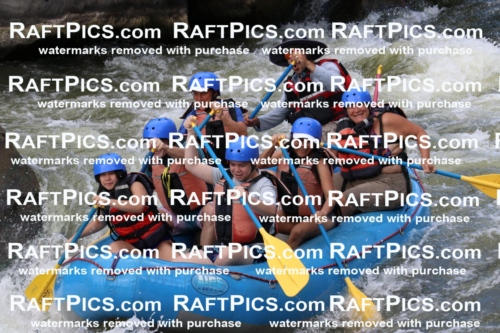 000398_July-9_New-Wave_RAFT-Pics_Racecourse-PM_BS_Elias