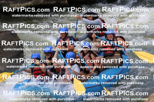 000399_July-9_New-Wave_RAFT-Pics_Racecourse-PM_BS_Elias