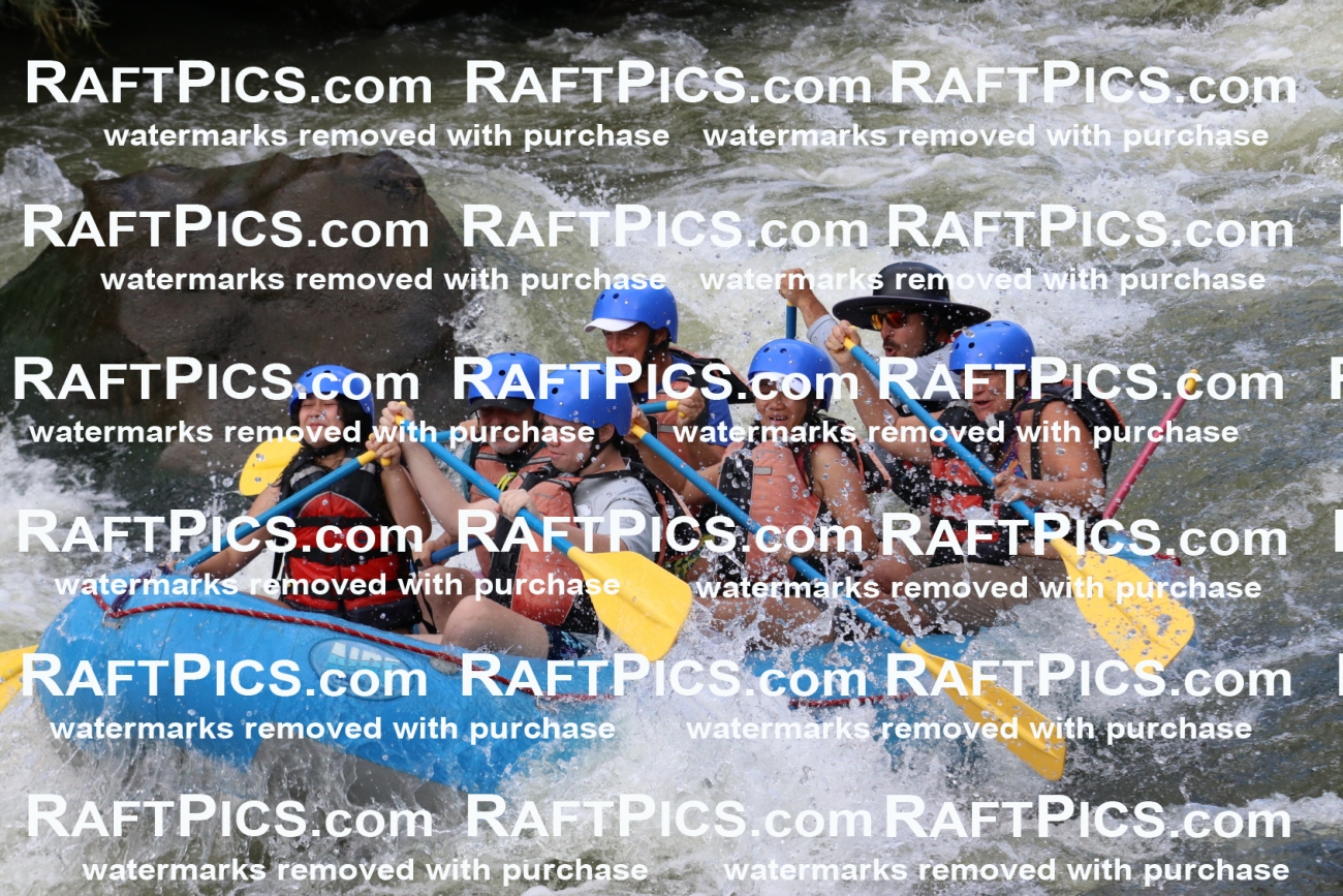 000401_July-9_New-Wave_RAFT-Pics_Racecourse-PM_BS_Elias