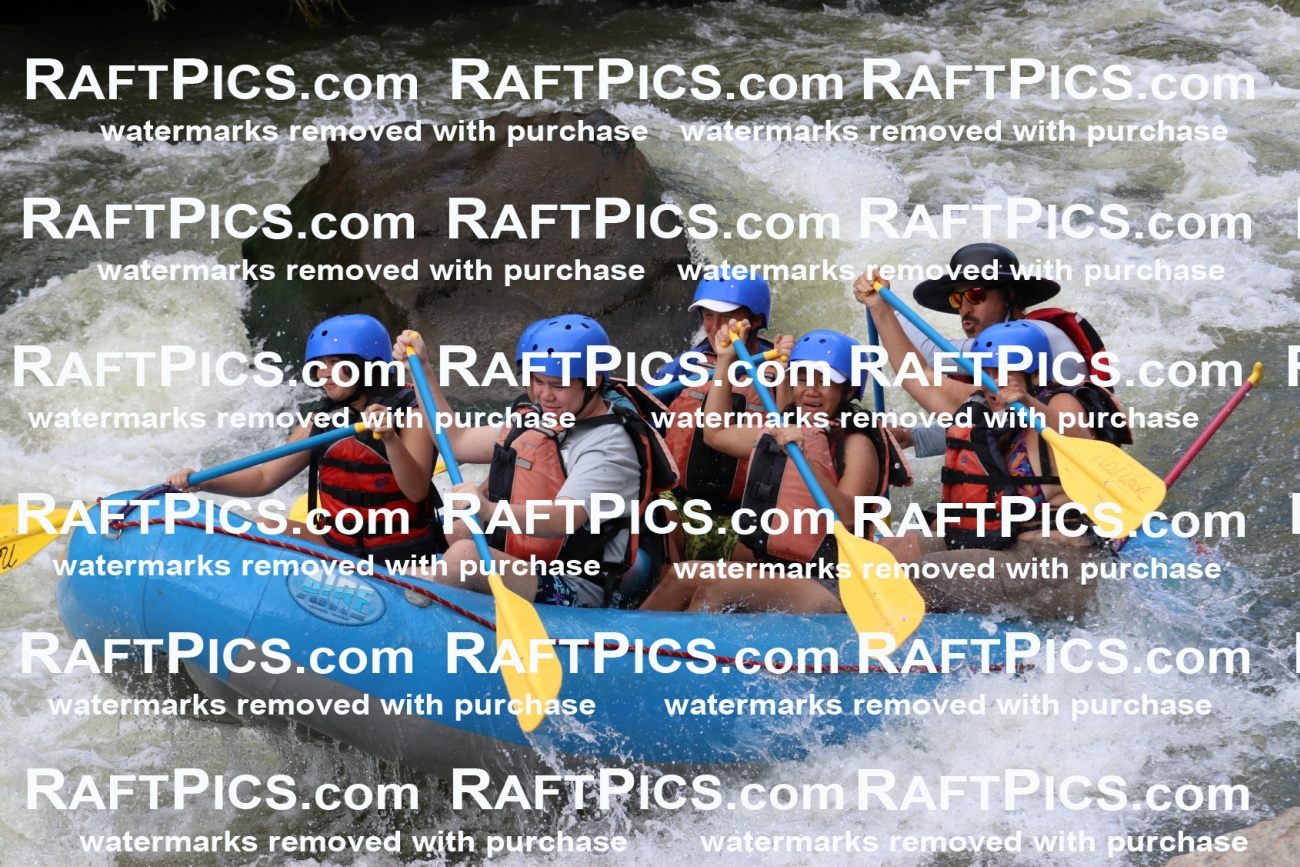 000402_July-9_New-Wave_RAFT-Pics_Racecourse-PM_BS_Elias