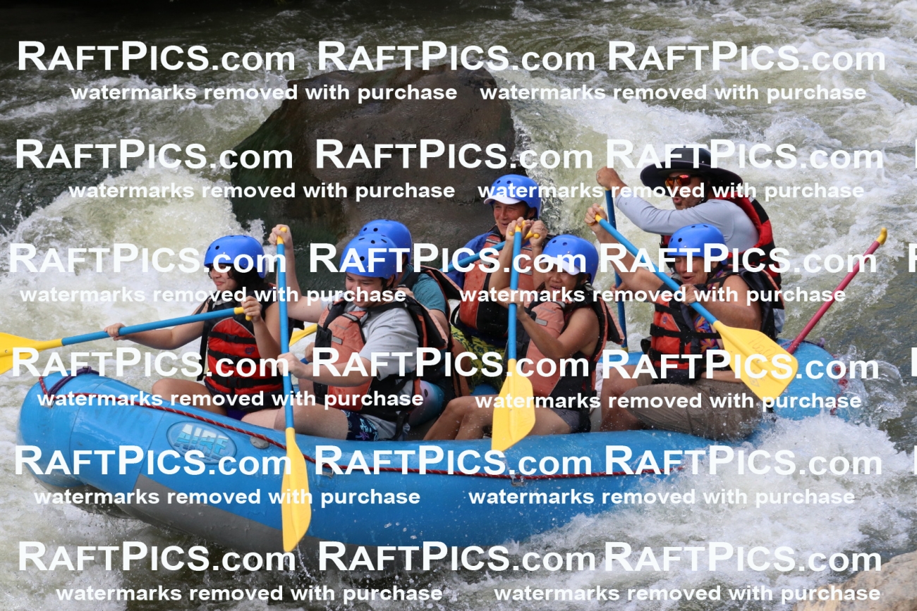 000403_July-9_New-Wave_RAFT-Pics_Racecourse-PM_BS_Elias