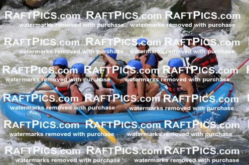 000404_July-9_New-Wave_RAFT-Pics_Racecourse-PM_BS_Elias