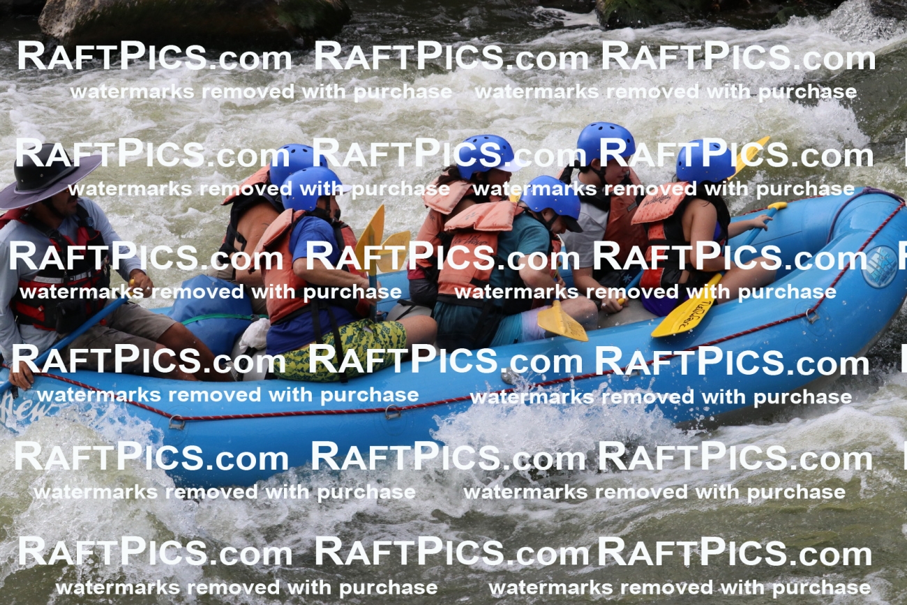 000406_July-9_New-Wave_RAFT-Pics_Racecourse-PM_BS_Elias