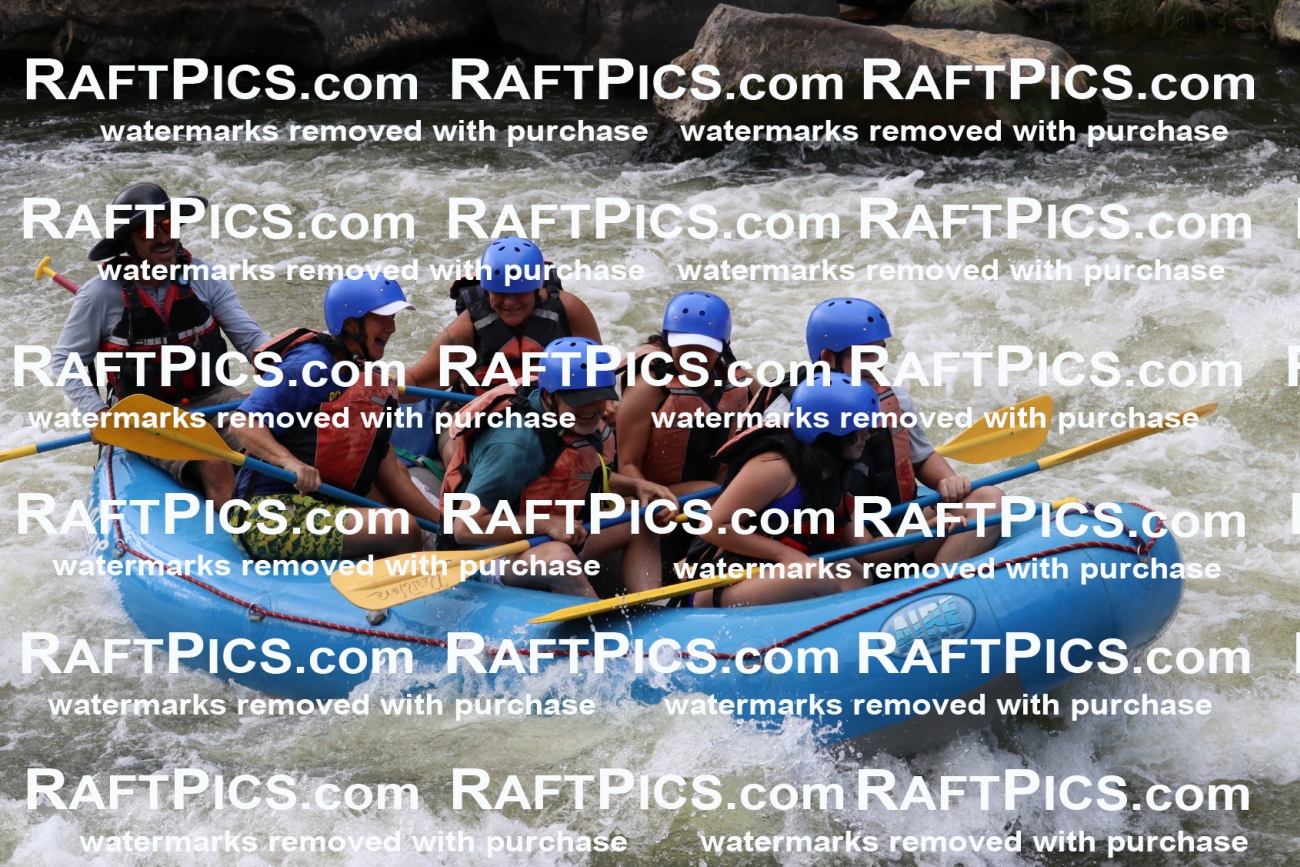 000408_July-9_New-Wave_RAFT-Pics_Racecourse-PM_BS_Elias