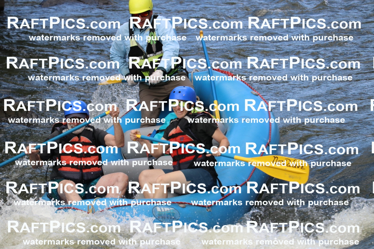 000436_July-9_New-Wave_RAFT-Pics_Racecourse-PM_BS_Joey