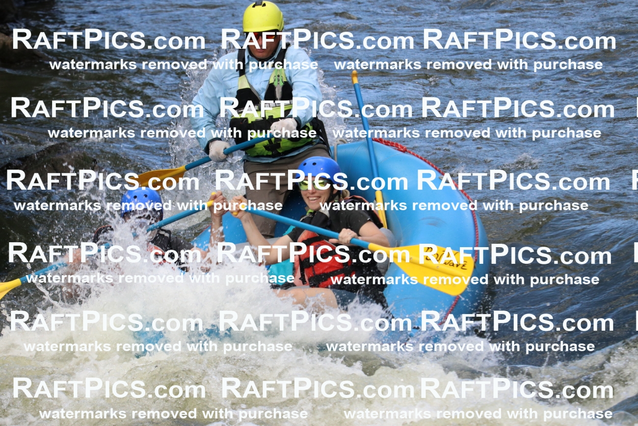 000437_July-9_New-Wave_RAFT-Pics_Racecourse-PM_BS_Joey