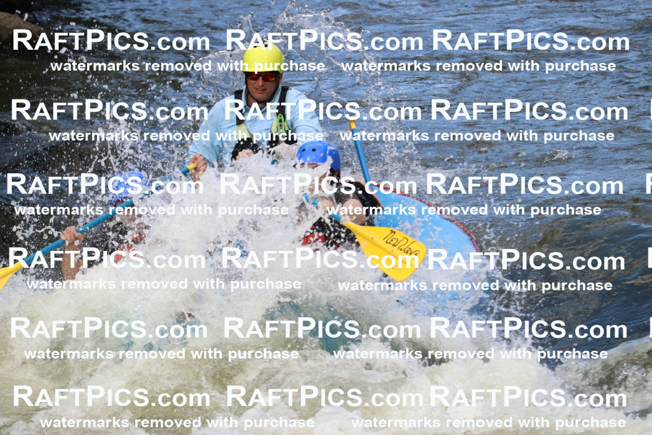 000438_July-9_New-Wave_RAFT-Pics_Racecourse-PM_BS_Joey