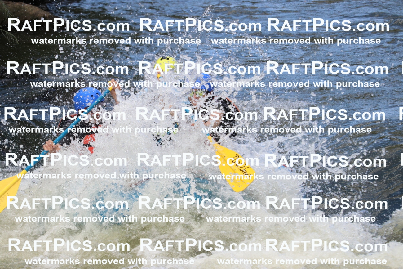 000439_July-9_New-Wave_RAFT-Pics_Racecourse-PM_BS_Joey