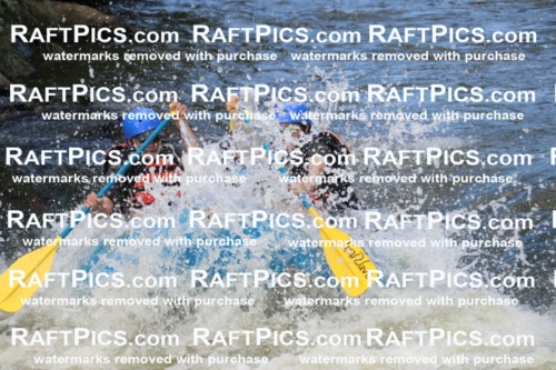 000440_July-9_New-Wave_RAFT-Pics_Racecourse-PM_BS_Joey