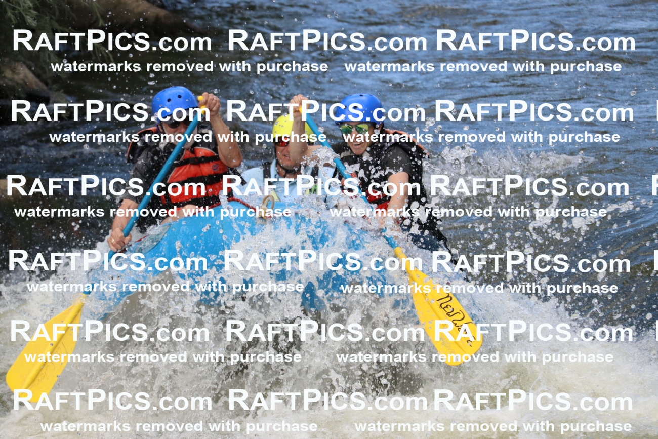 000441_July-9_New-Wave_RAFT-Pics_Racecourse-PM_BS_Joey