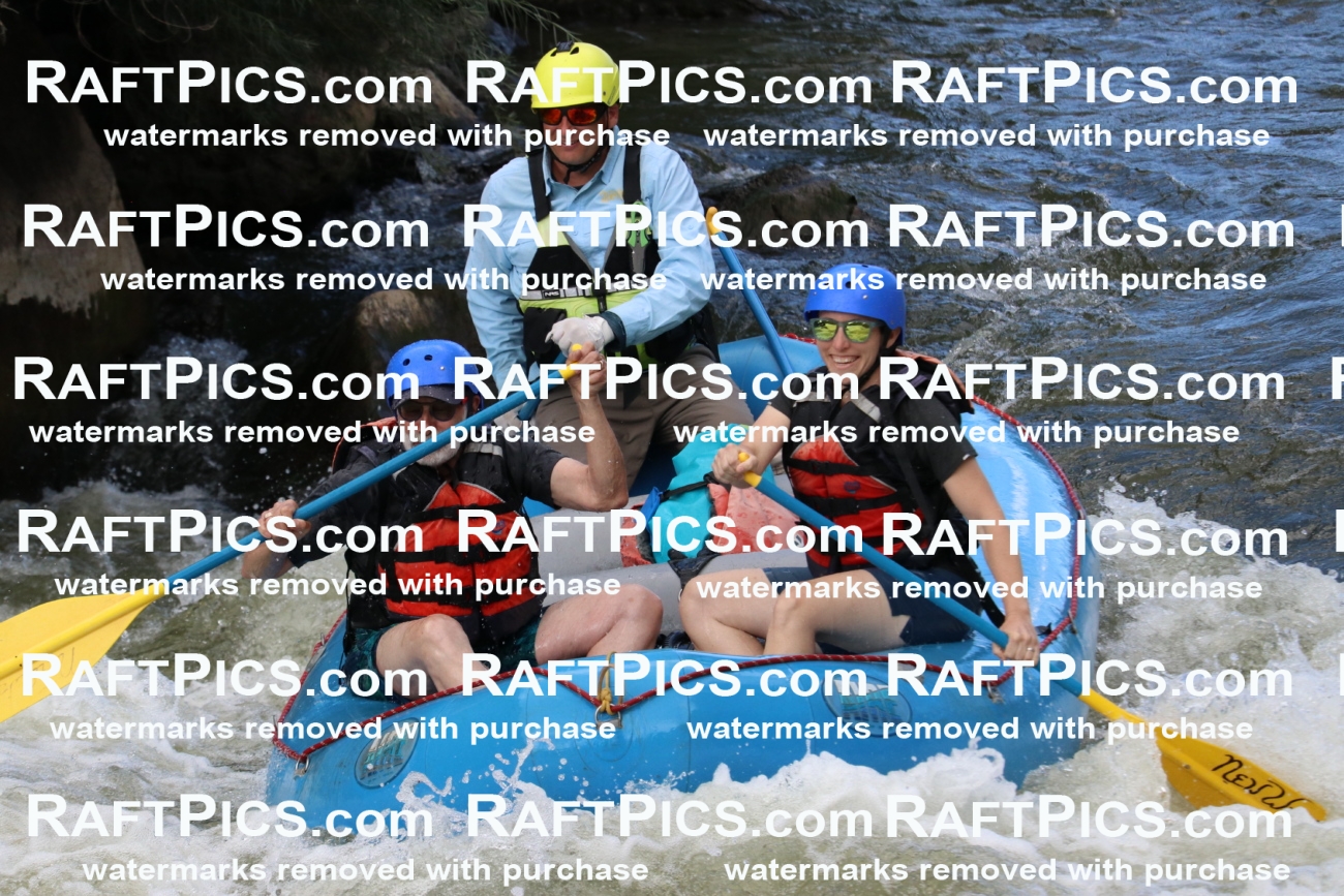 000442_July-9_New-Wave_RAFT-Pics_Racecourse-PM_BS_Joey