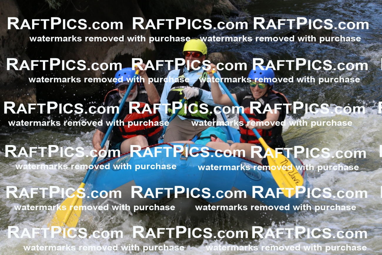 000443_July-9_New-Wave_RAFT-Pics_Racecourse-PM_BS_Joey-1