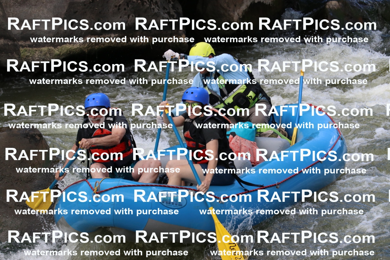 000445_July-9_New-Wave_RAFT-Pics_Racecourse-PM_BS_Joey