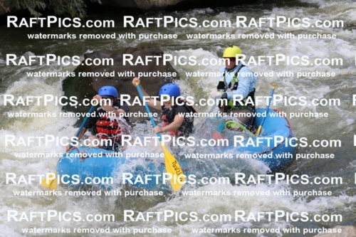 000447_July-9_New-Wave_RAFT-Pics_Racecourse-PM_BS_Joey