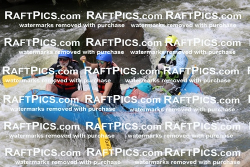 000448_July-9_New-Wave_RAFT-Pics_Racecourse-PM_BS_Joey