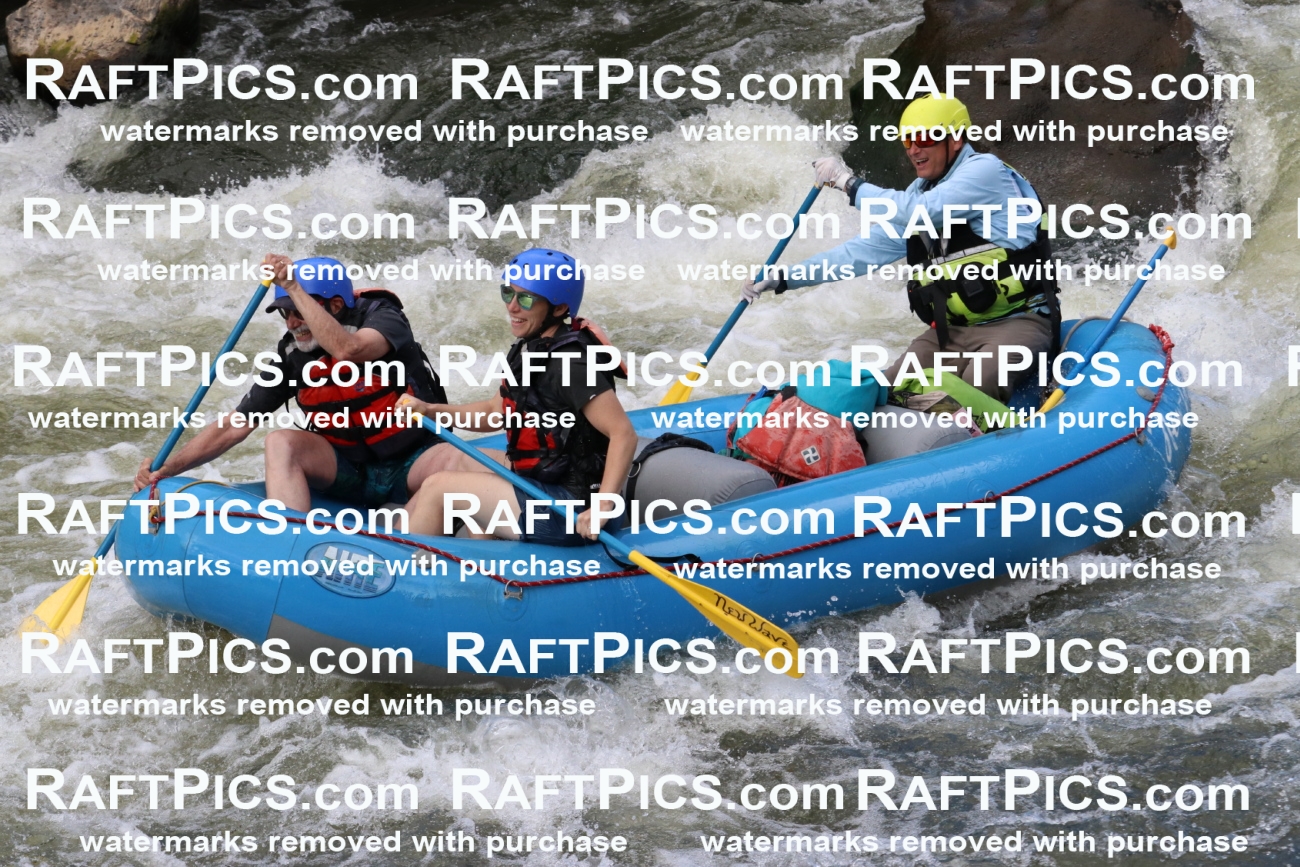 000449_July-9_New-Wave_RAFT-Pics_Racecourse-PM_BS_Joey