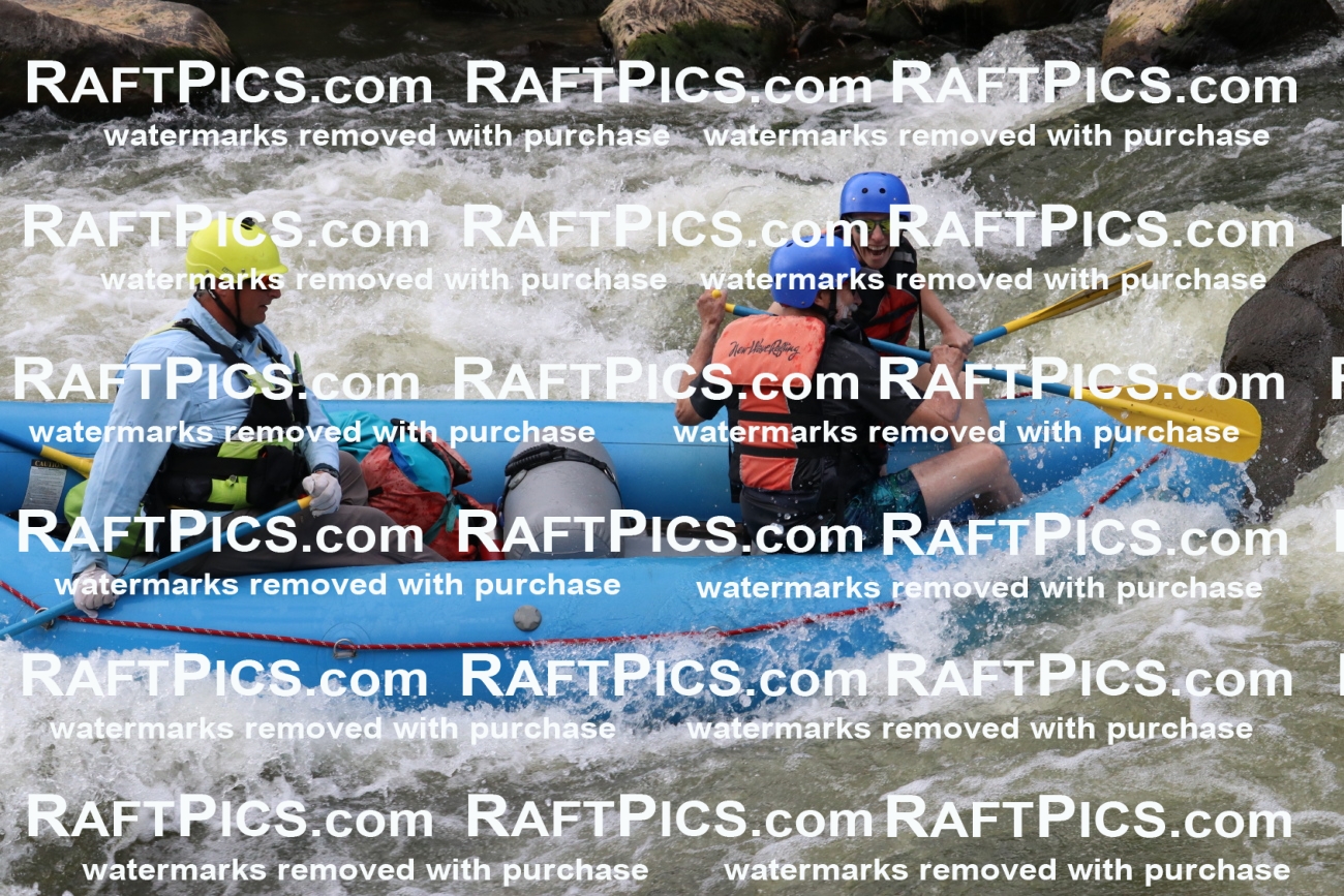 000450_July-9_New-Wave_RAFT-Pics_Racecourse-PM_BS_Joey