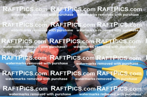 000451_July-9_New-Wave_RAFT-Pics_Racecourse-PM_BS_Joey