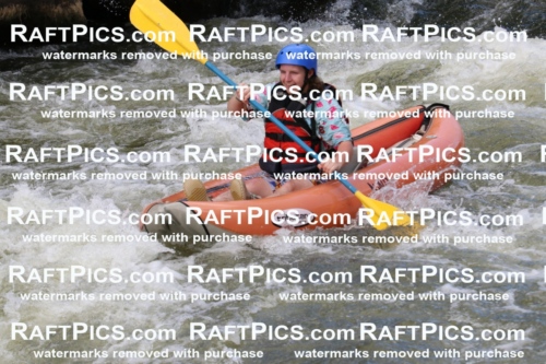 000410_July-9_New-Wave_RAFT-Pics_Racecourse-PM_BS_Funyaks