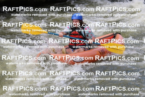 000411_July-9_New-Wave_RAFT-Pics_Racecourse-PM_BS_Funyaks