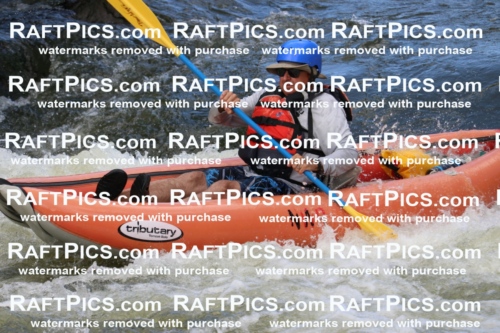 000422_July-9_New-Wave_RAFT-Pics_Racecourse-PM_BS_Funyaks