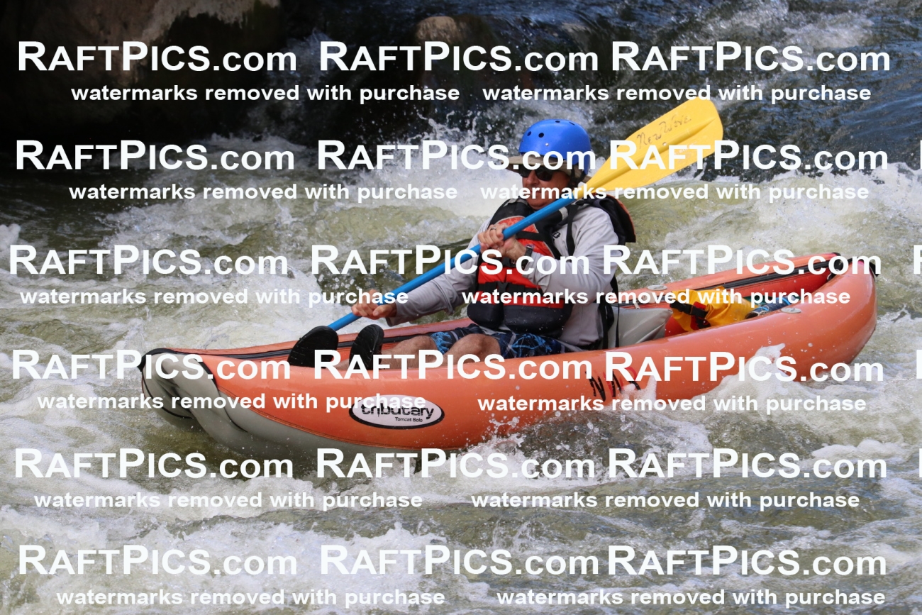 000424_July-9_New-Wave_RAFT-Pics_Racecourse-PM_BS_Funyaks