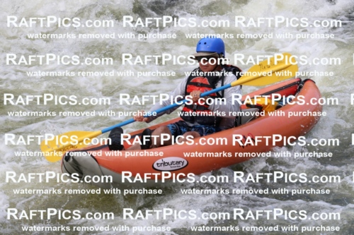 000431_July-9_New-Wave_RAFT-Pics_Racecourse-PM_BS_Funyaks