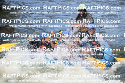 000455_July-9_New-Wave_RAFT-Pics_Racecourse-PM_BS_Orlando