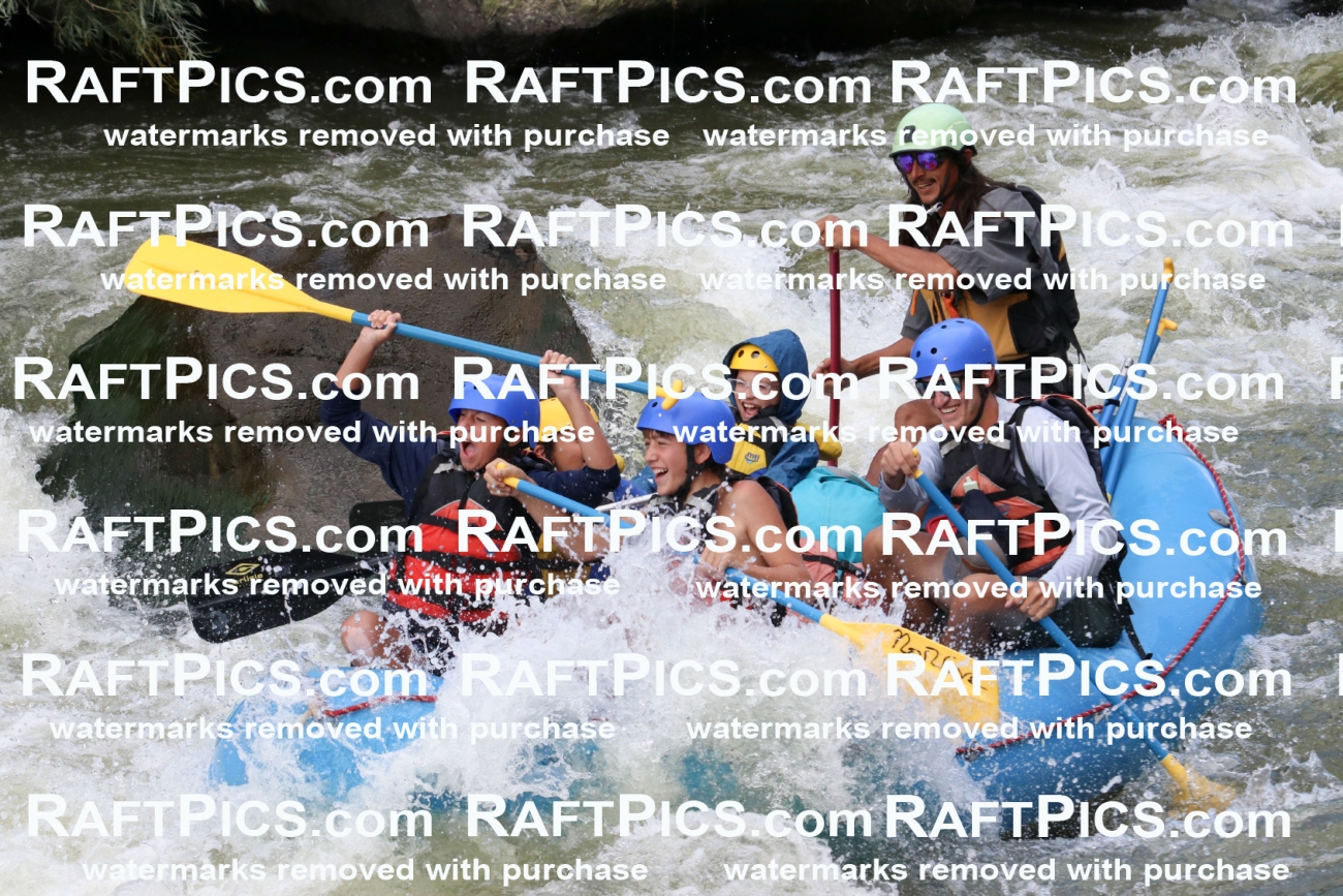 000466_July-9_New-Wave_RAFT-Pics_Racecourse-PM_BS_Orlando