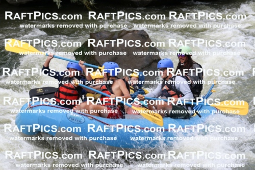 000469_July-9_New-Wave_RAFT-Pics_Racecourse-PM_BS_Orlando