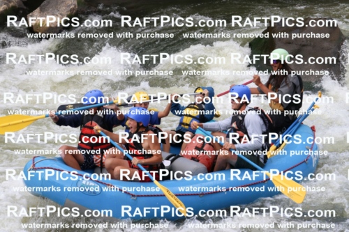 000471_July-9_New-Wave_RAFT-Pics_Racecourse-PM_BS_Orlando