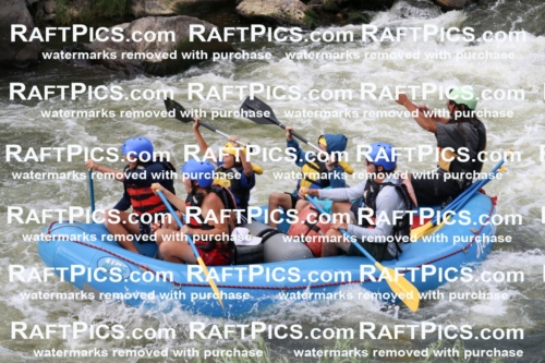 000472_July-9_New-Wave_RAFT-Pics_Racecourse-PM_BS_Orlando