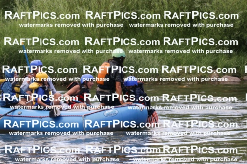 000487_July-9_New-Wave_RAFT-Pics_Racecourse-PM_BS_Orlando