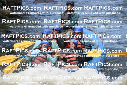 000492_July-9_New-Wave_RAFT-Pics_Racecourse-PM_BS_Rui